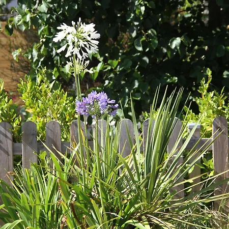 Double Guernesey Dans Maison, Au Calme Sur Le Gr223 3*