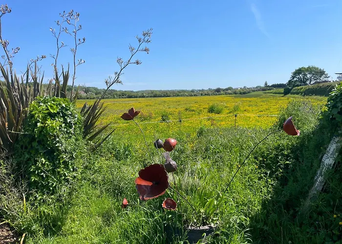 Double Guernesey Dans Maison, Au Calme Sur Le Gr223 3* 巴讷维尔-卡特里特