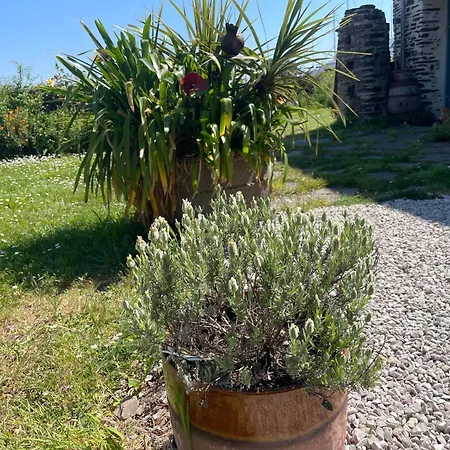 Bed & Breakfast Double Guernesey Dans Maison, Au Calme Sur Le Gr223