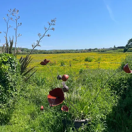 Double Guernesey Dans Maison, Au Calme Sur Le Gr223 3* Barneville-Carteret